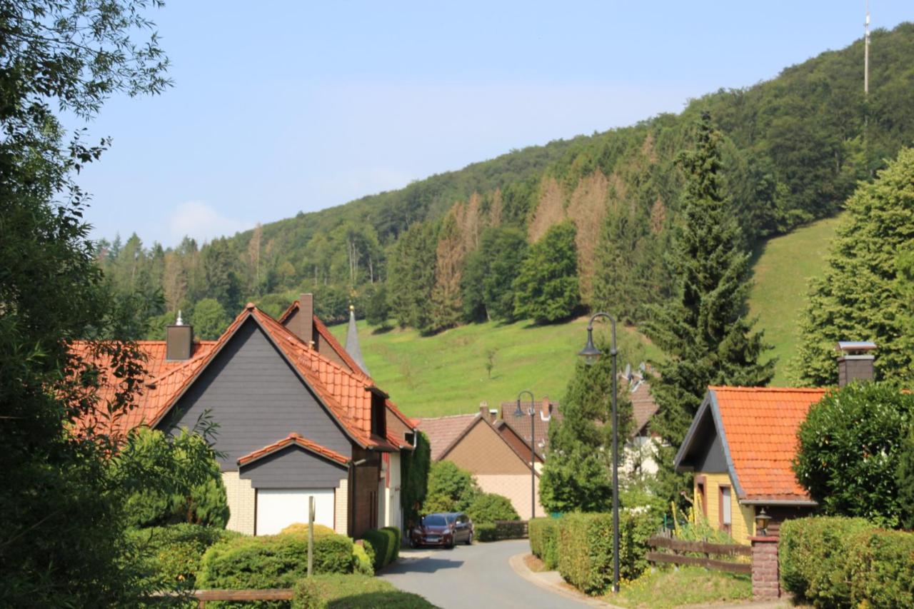 Haus Hirtenbergblick Lonau Exteriér fotografie
