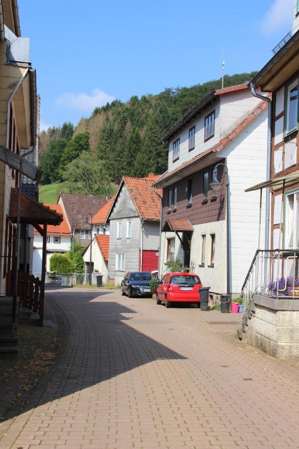 Haus Hirtenbergblick Lonau Exteriér fotografie
