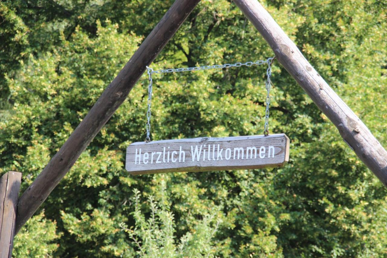 Haus Hirtenbergblick Lonau Exteriér fotografie